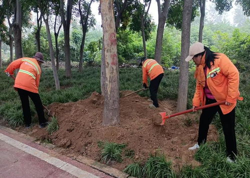 秋季移植添新綠，精細養護煥新顏 樹木種植指南